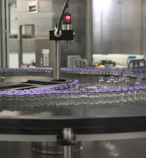 EY Law LLP Halifax, Canada Office