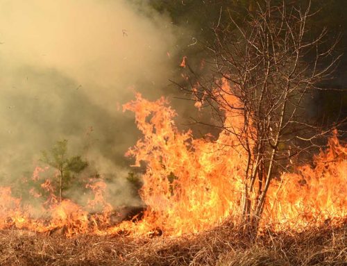 Baron & Budd PC Encino, CA Office