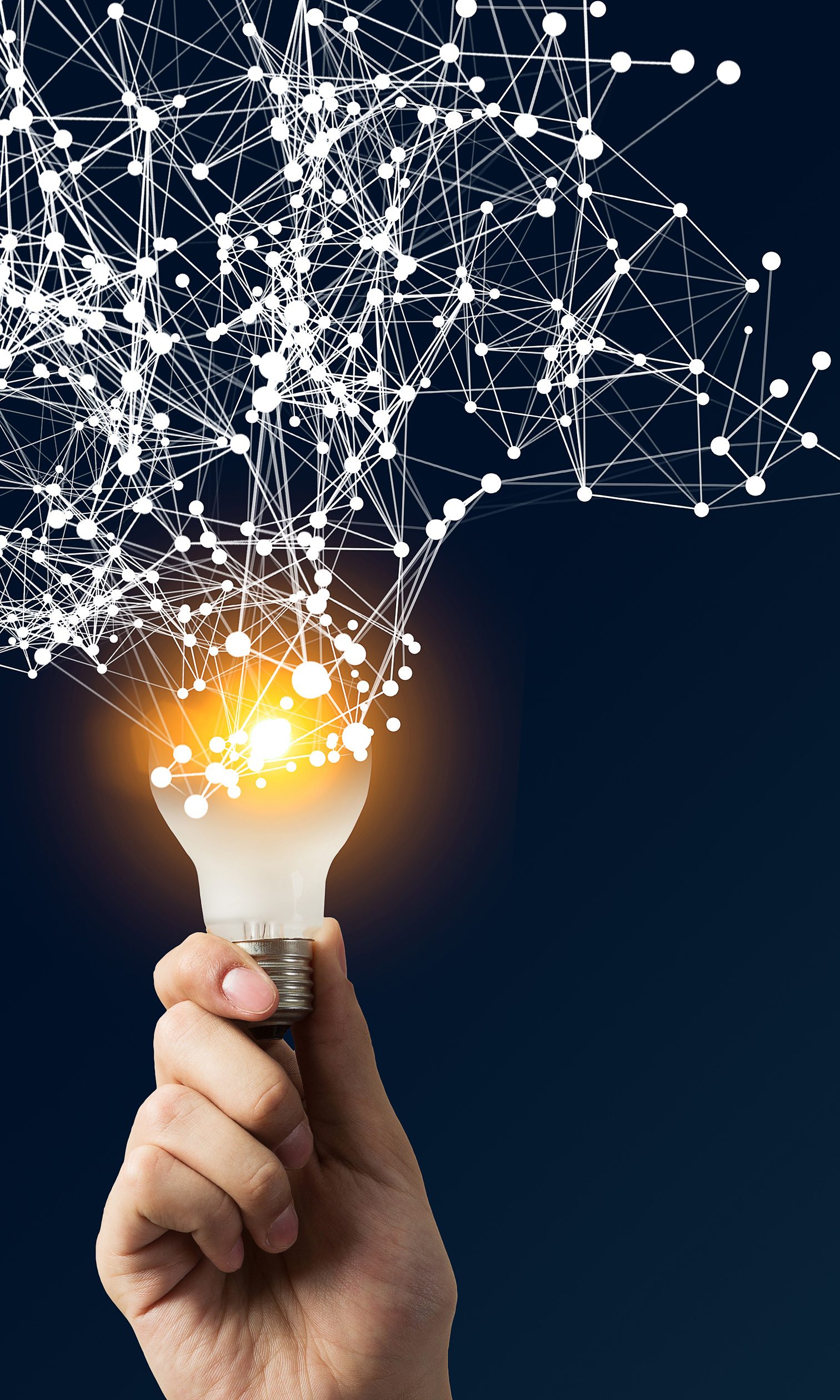 Burke, Williams & Sorensen, LLP Oakland, CA Office