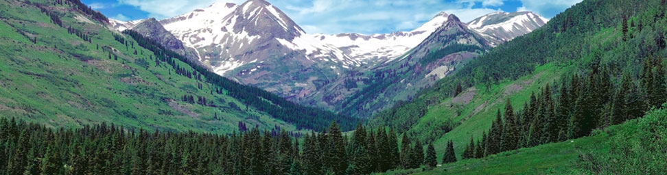 Pearl Schneider Young LLC Lakewood,  Office