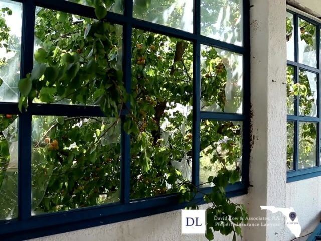 David Low & Associates, P.A Fort Lauderdale, FL Office