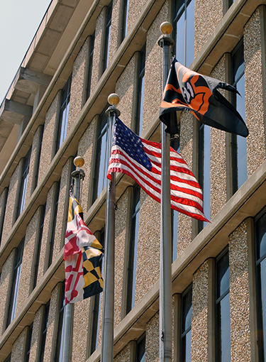 Royston Mueller Mc Lean & Reid Towson, MD Office