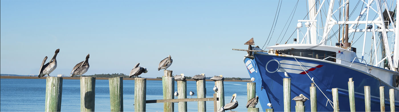 Rogers Towers, PA Amelia Island,  Office