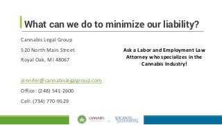 Cannabis Legal Group Royal Oak,  Office