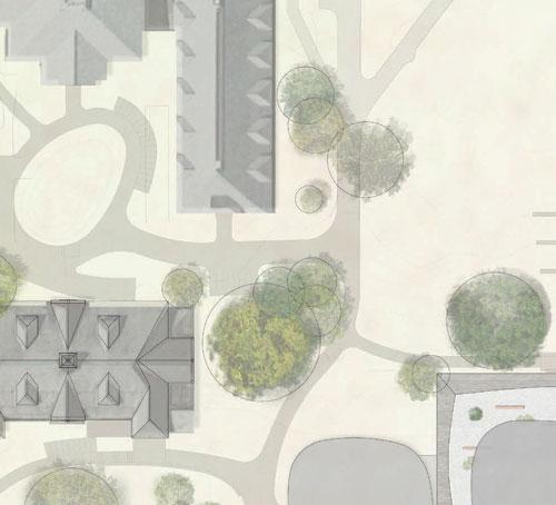 The Strong Firm, P.C The Woodlands, TX Office