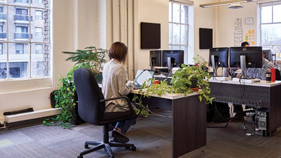 Low Murchison Radnoff LLP Ottawa, Canada Office