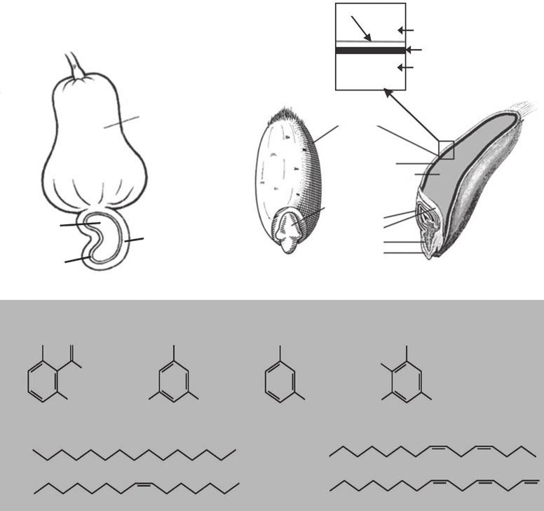 Marshall Denning Amsterdam, Colombia Office