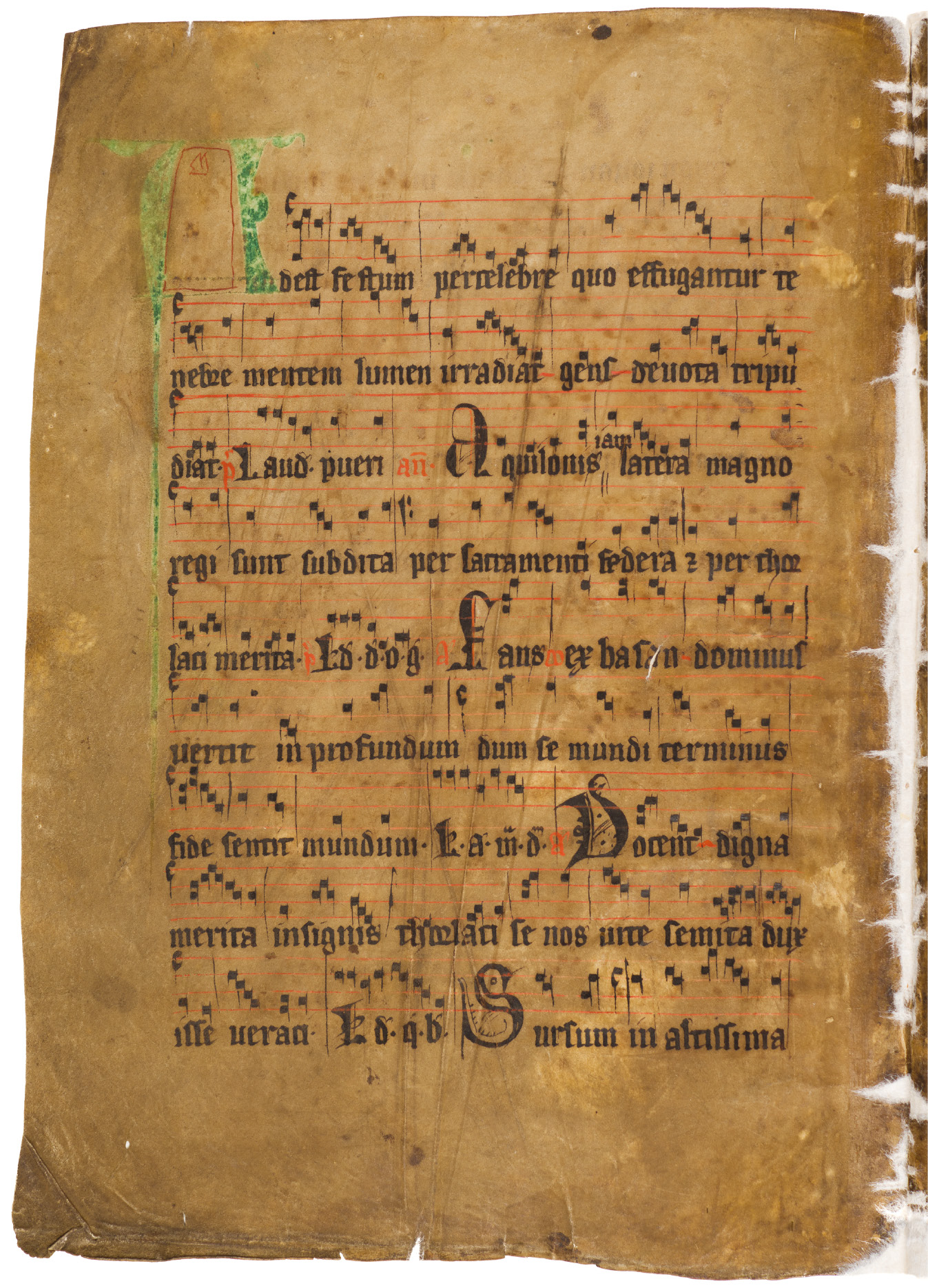 Magnusson Copenhagen, Denmark Office