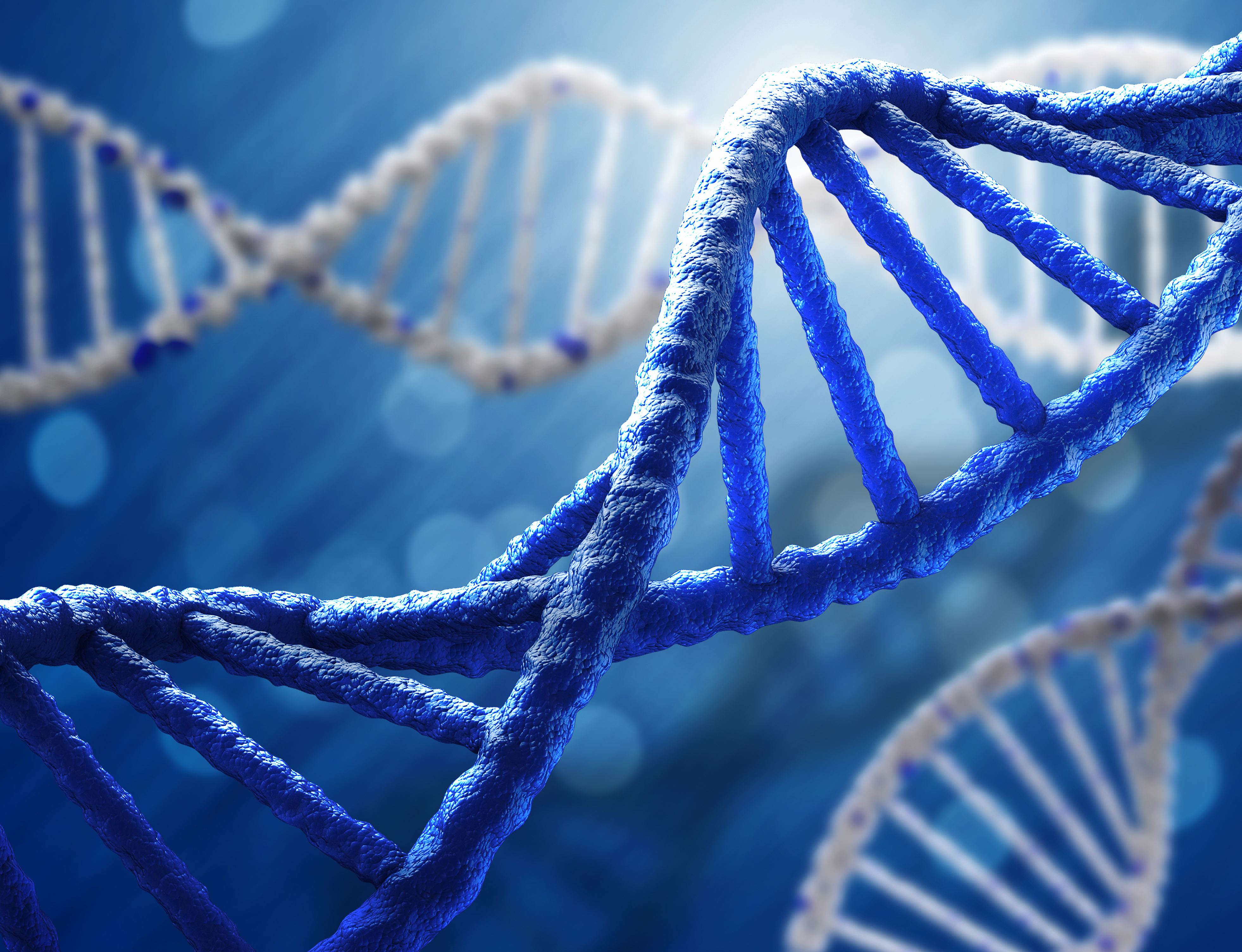 Mannava & Kang, P.C Fairfax, VA Office