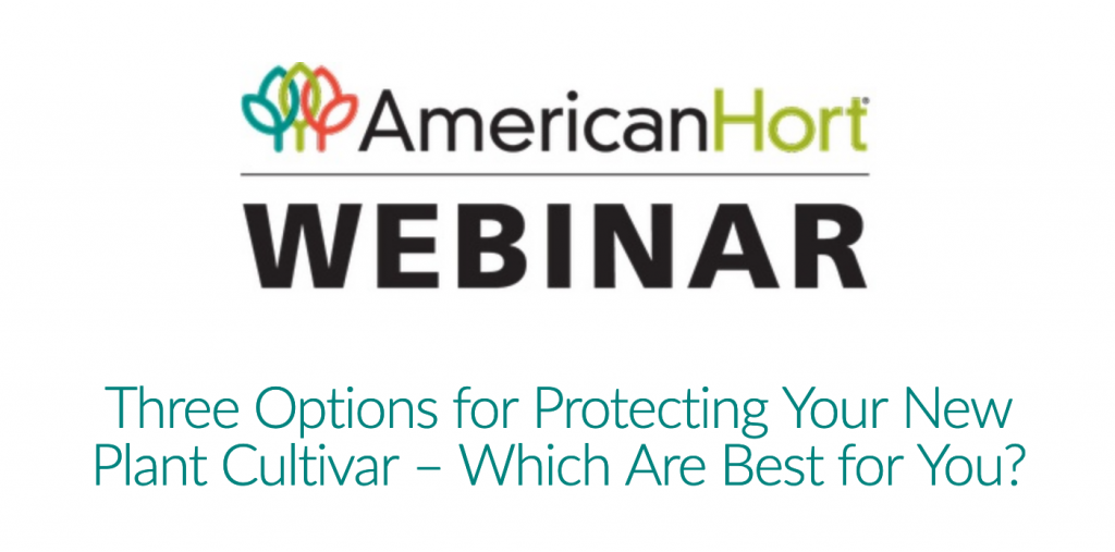 Panitch Schwarze Belisario & Nadel LLP Wilmington, DE Office