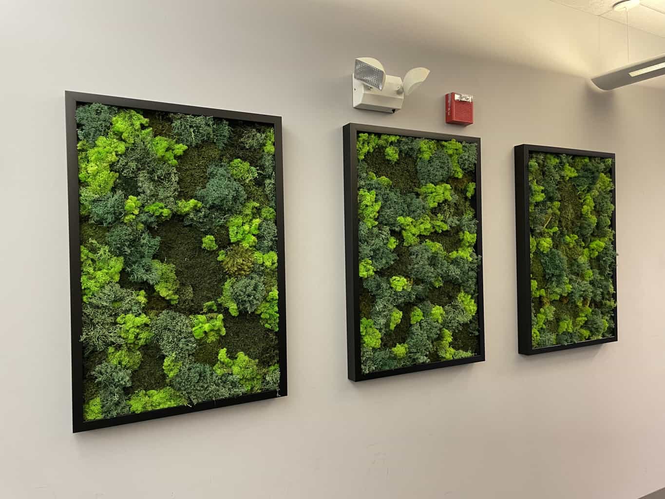 Onello & Mello, LLP Boston, MA Office