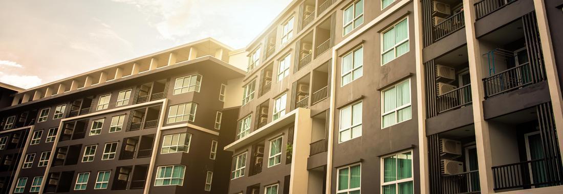 Yale Law Group Denton,  Office