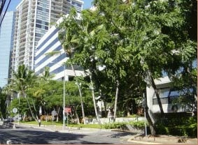 Ogawa, Lau, Nakamura & Jew, Attorneys At Law Honolulu, HI Office