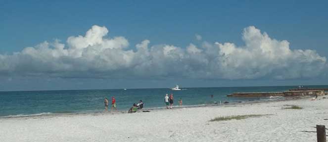 The Law Offices of Michael M. Raheb, P.A Cape Coral, FL Office