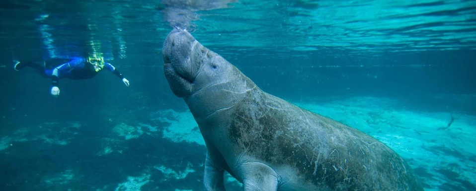 Keith Taylor Law Group Crystal River, FL Office