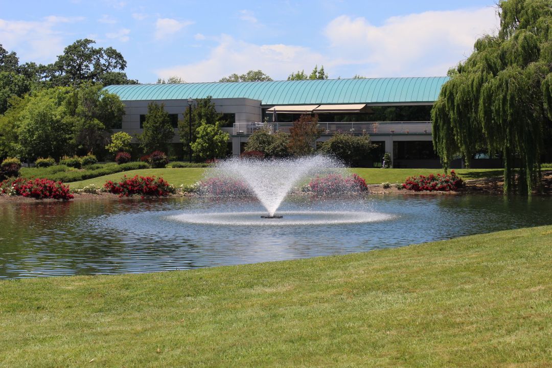 Friedemann Goldberg LLP Santa Rosa, CA Office