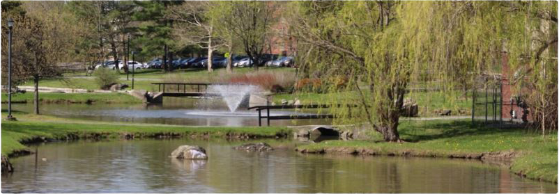 Michael B. Schulman & Associates, P.C Melville, NY Office