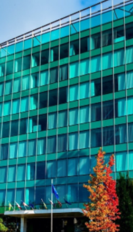 Houst Consulting Cupertino,  Office