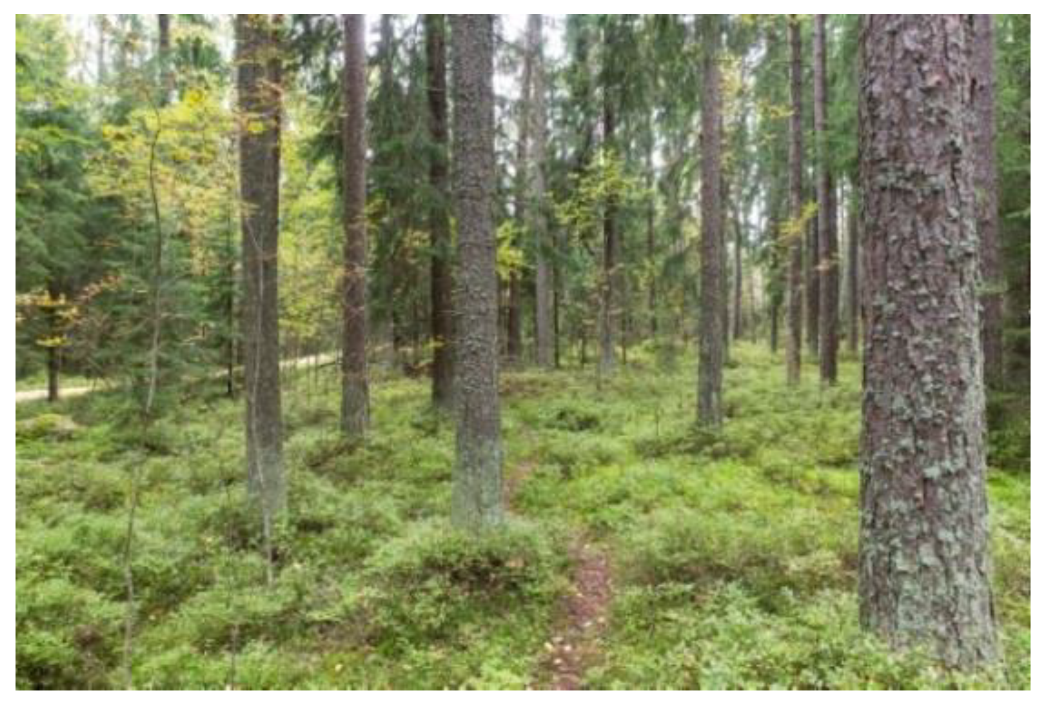 LETT Law Firm P/S Denmark,  Office