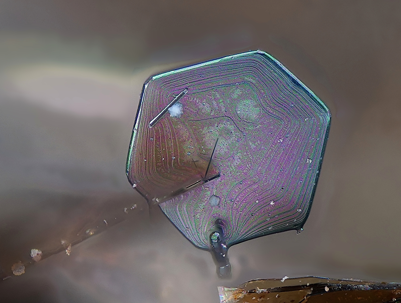 Grub Brugger & Partner Stuttgart, Germany Office