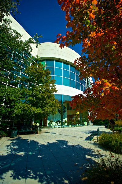 Crawford, Bringslid, Vander Neut, LLP New York City,  Office