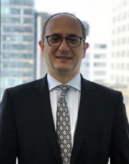 Lewis Johs Avallone Aviles, LLP New York, NY Office