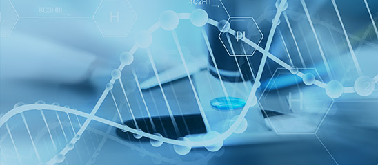 Dilworth & Barrese, L.L.P Woodbury, NY Office