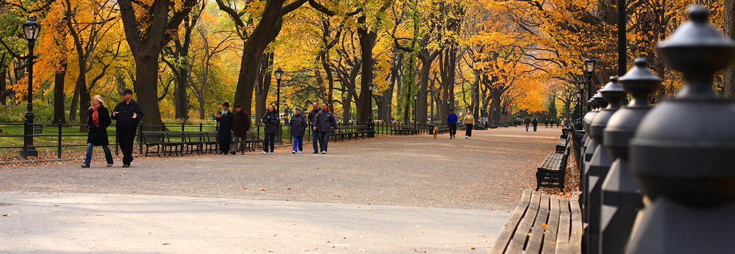 The Law Offices Of Vivino & Vivino Wayne, NJ Office