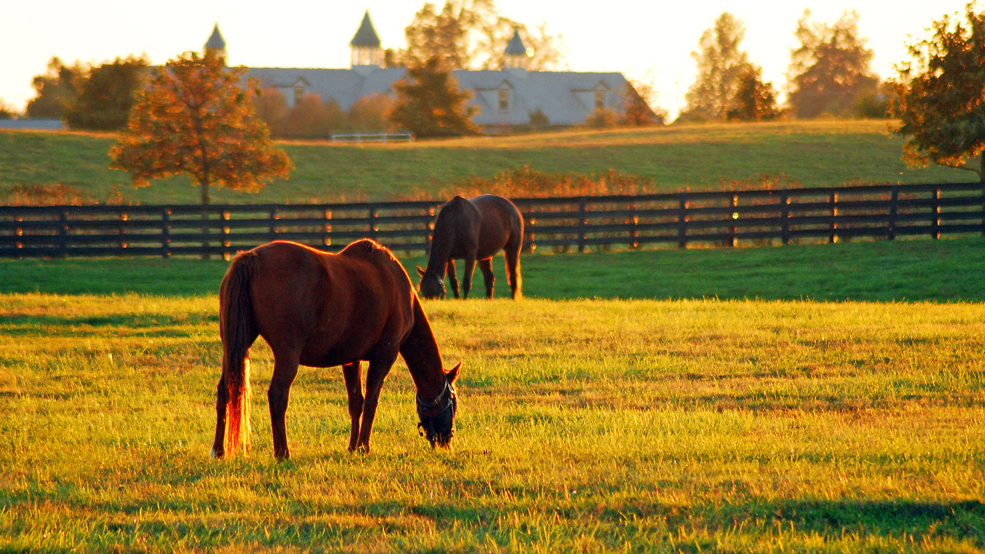Stidham & Associates, PSC Lexington, KY Office