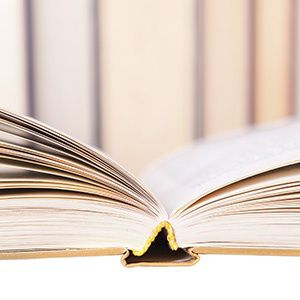 Law Office of Adrienne B. Naumann Skokie,  Office