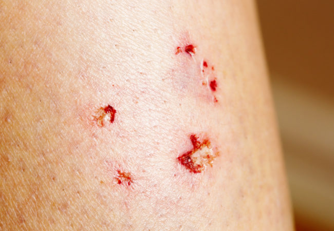 Constantinidis & Associates, P.C Bellmore, NY Office