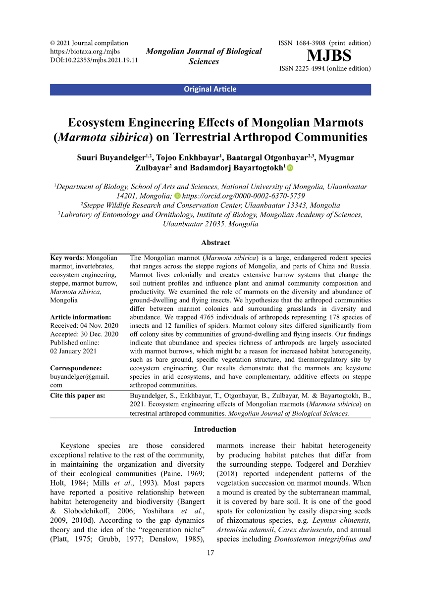 Tsets Ulaanbaatar, Mongolia Office