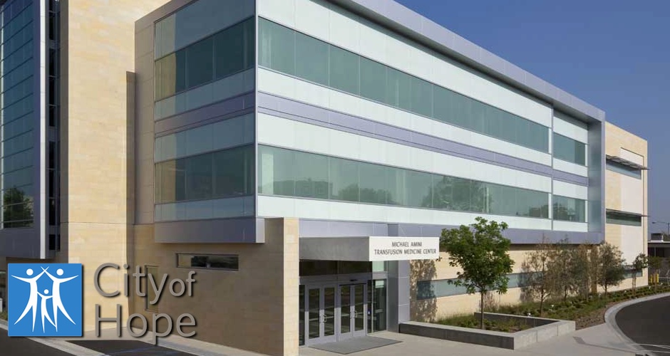 Amini LLC New York City,  Office