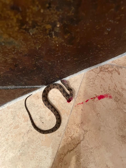 Law Offices of Cindy S. Vova, PA Plantation, FL Office