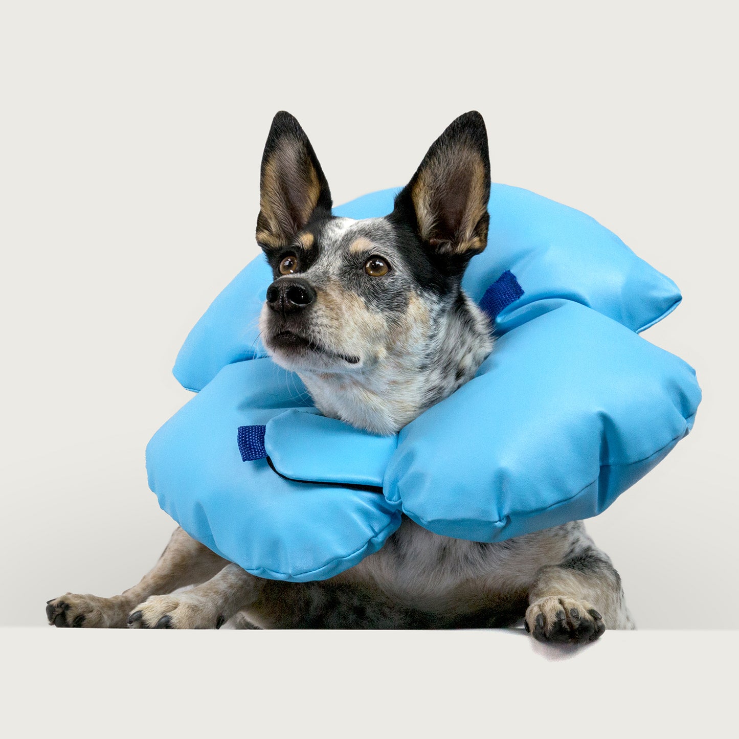 Broomhead & Saul Solicitors Ilminster, UK-England Office