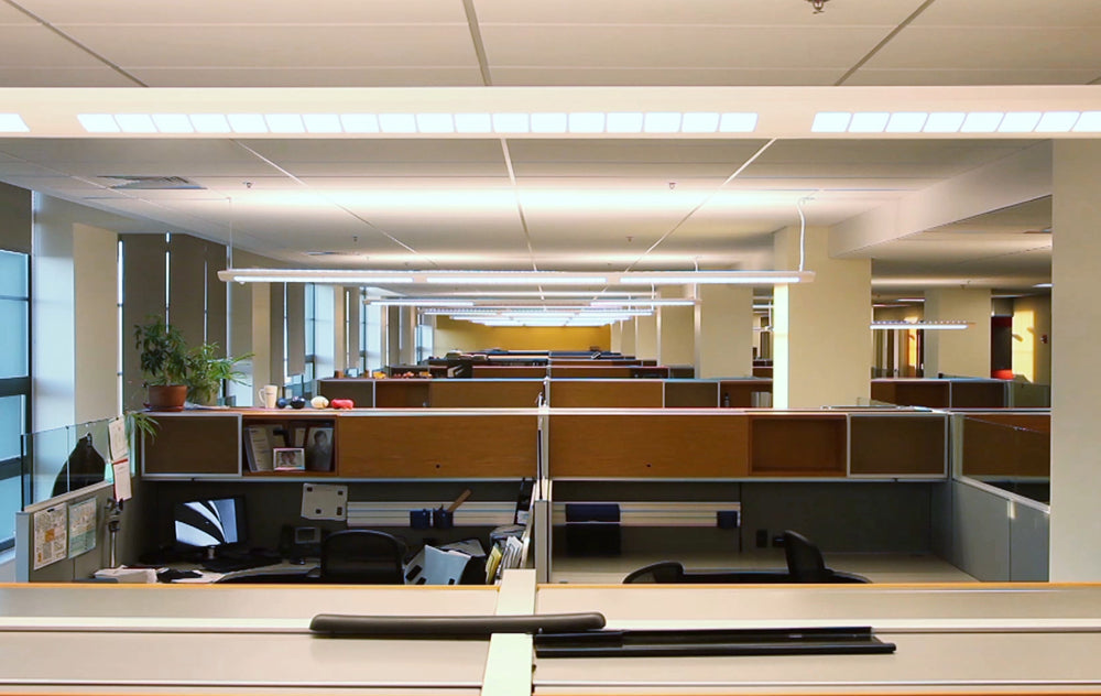 Beal, LLC Columbia,  Office