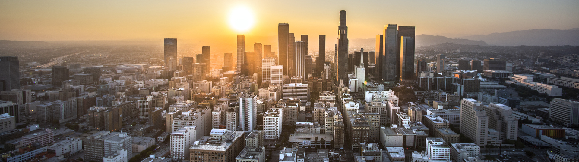 Aliant Los Angeles,  Office