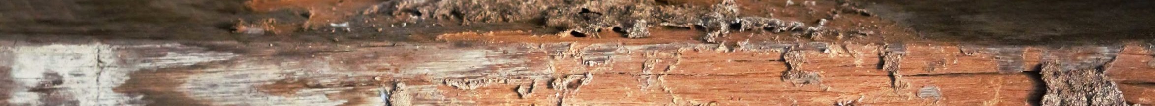 Burns, Cunningham & Mackey, P.C Mobile, AL Office