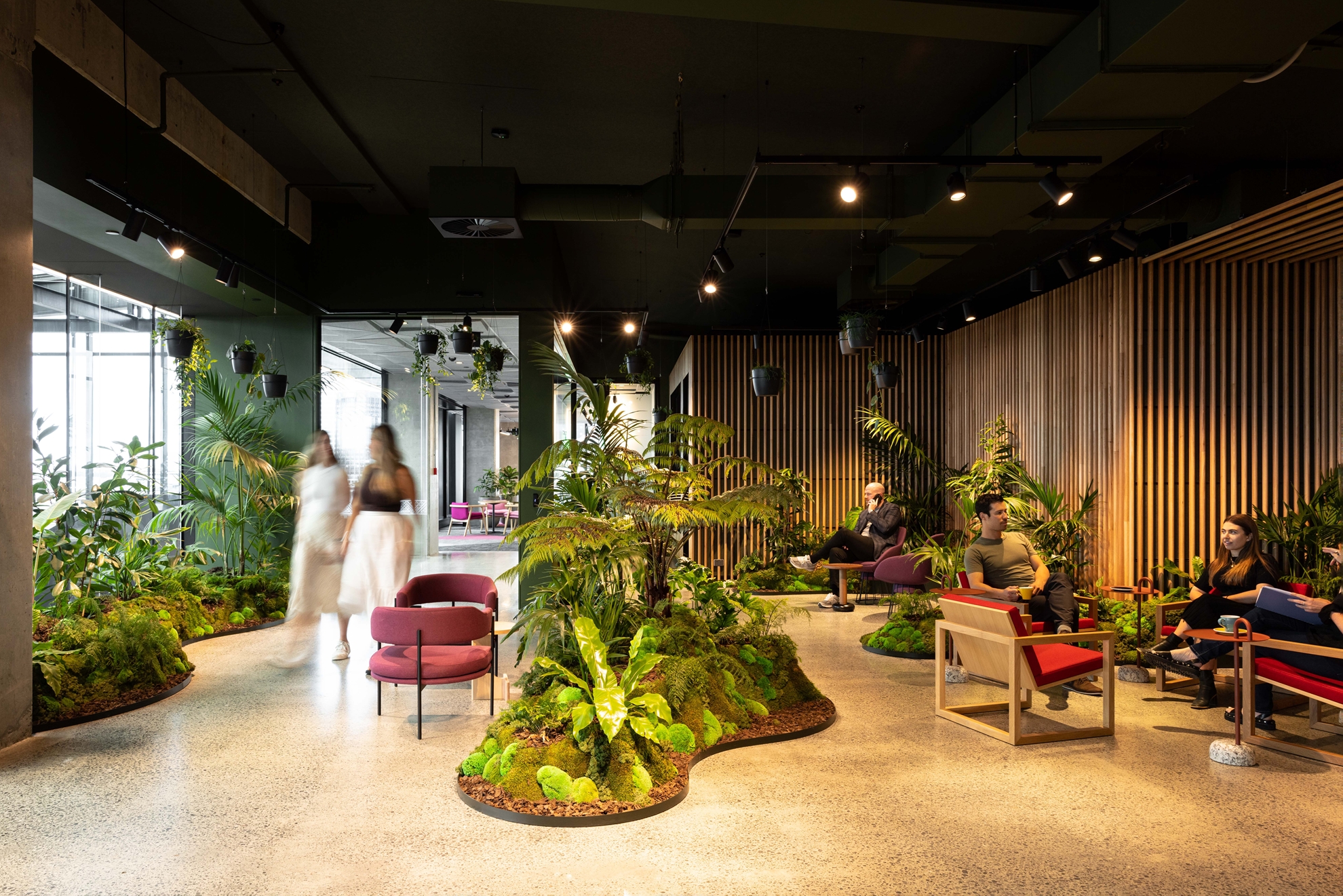 Meredith Connell Auckland, New Zealand Office