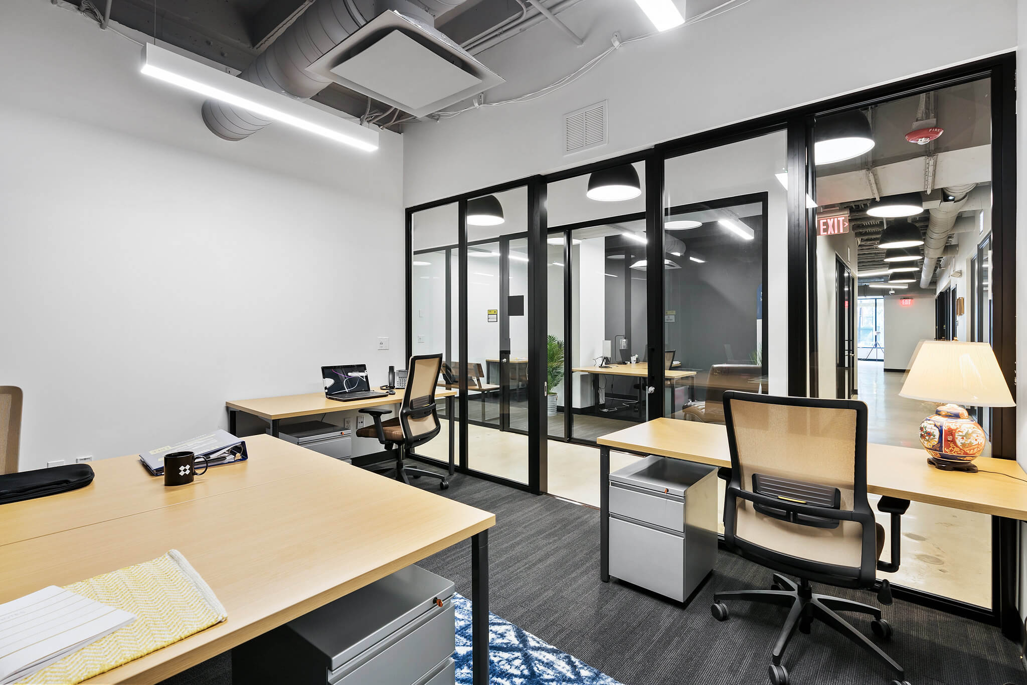 Conan & Herman Orlando,  Office
