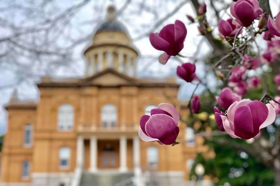 Law Office of James K. Moore Auburn,  Office