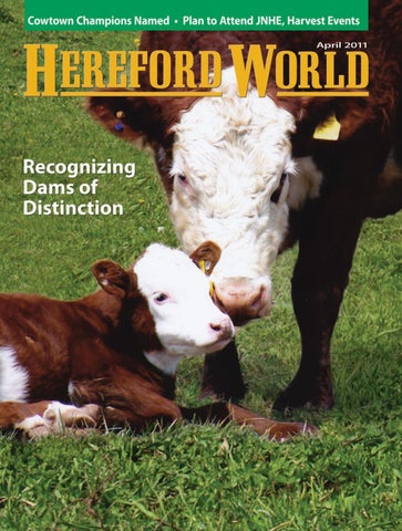 The Crisp Law Firm, PLLC Berlin, NH Office