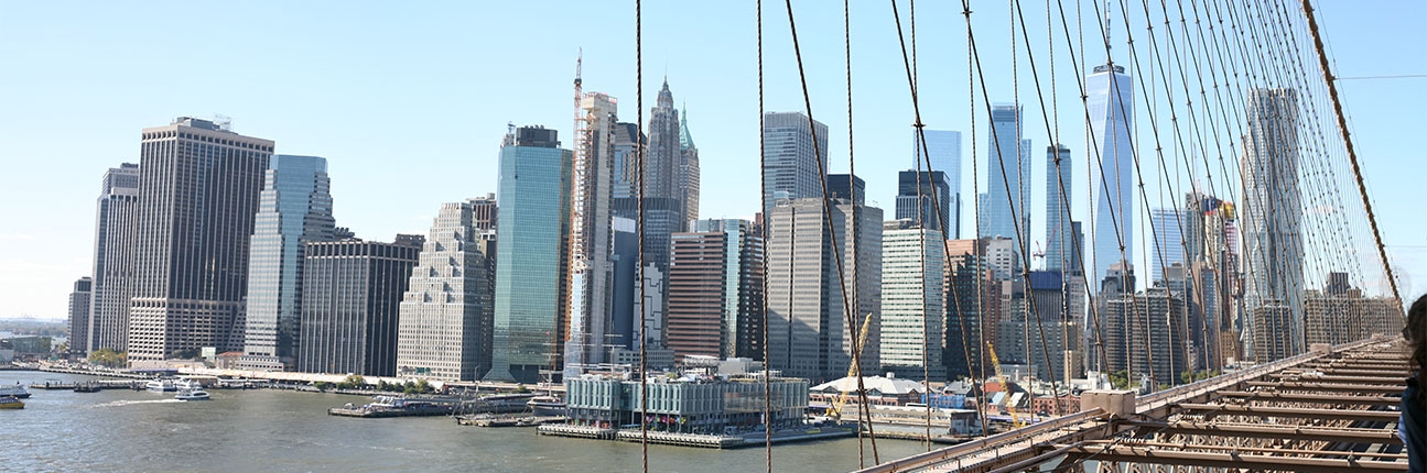 Cyrus D. Mehta & Partners PLLC New York City, NY Office