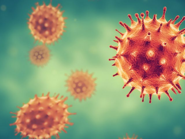 Hegarty Solicitors Peterborough, United Kingdom Office