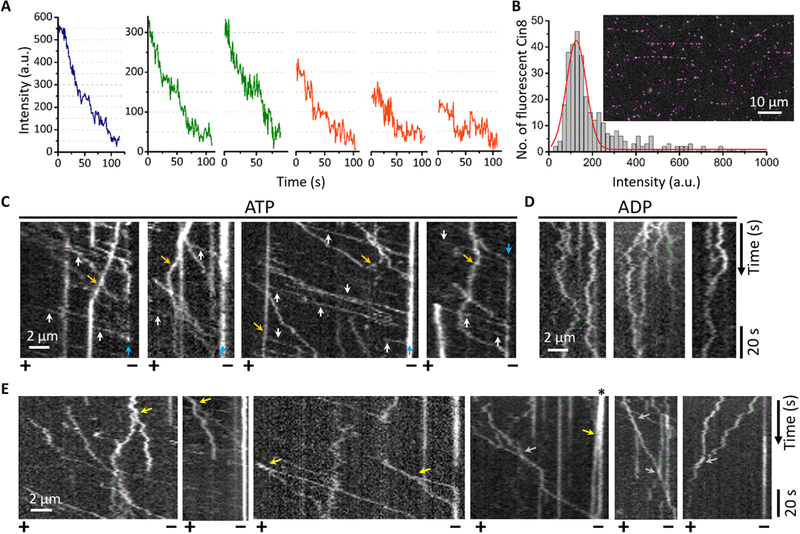 CMS Legal Mnchen, Germany Office