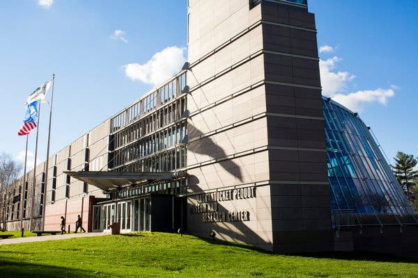 Michael Satti, LLC Pawcatuck,  Office