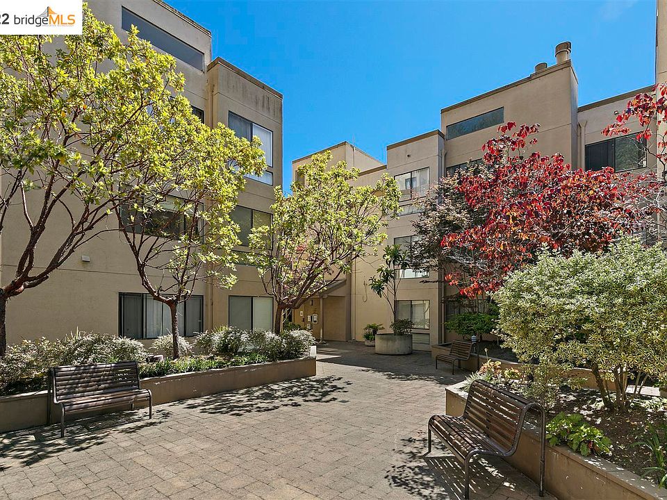 Surowitz Immigration, PC Albany, CA Office