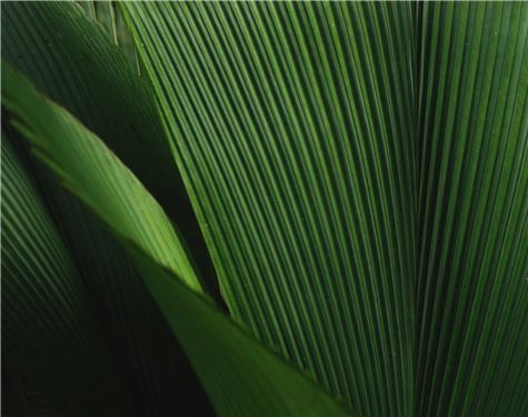 Dentons Edmonton, Canada Office