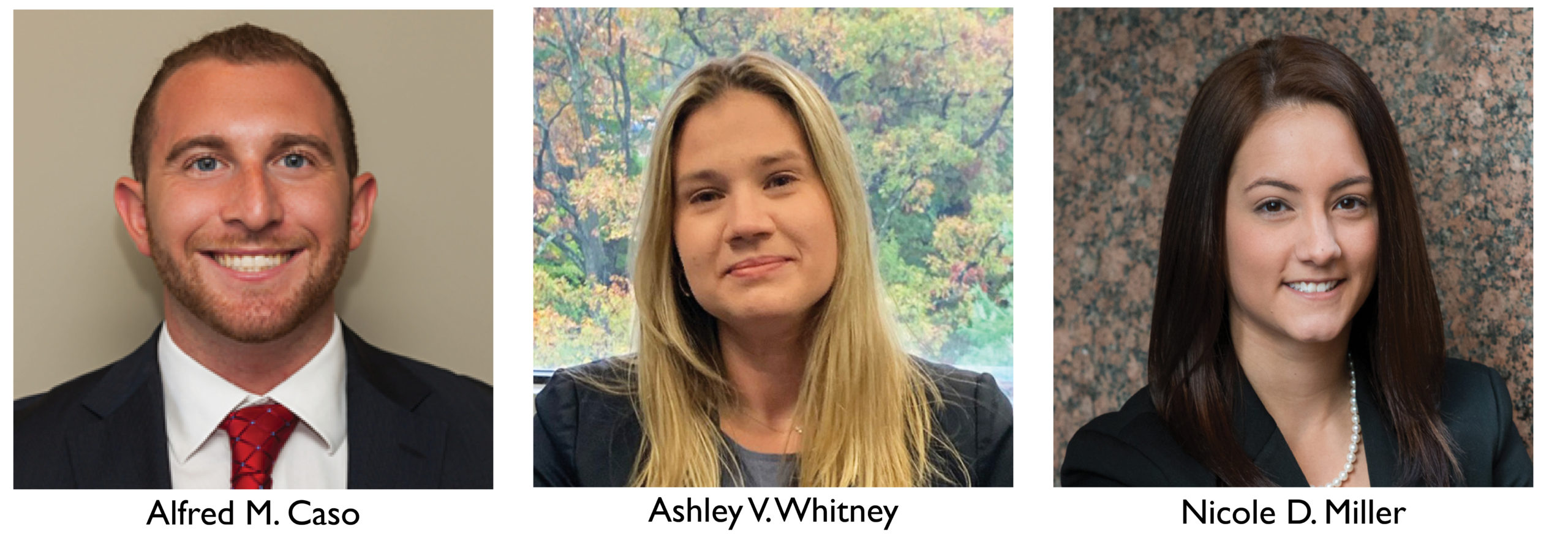 Ansell Grimm & Aaron, PC Ocean, United States Office