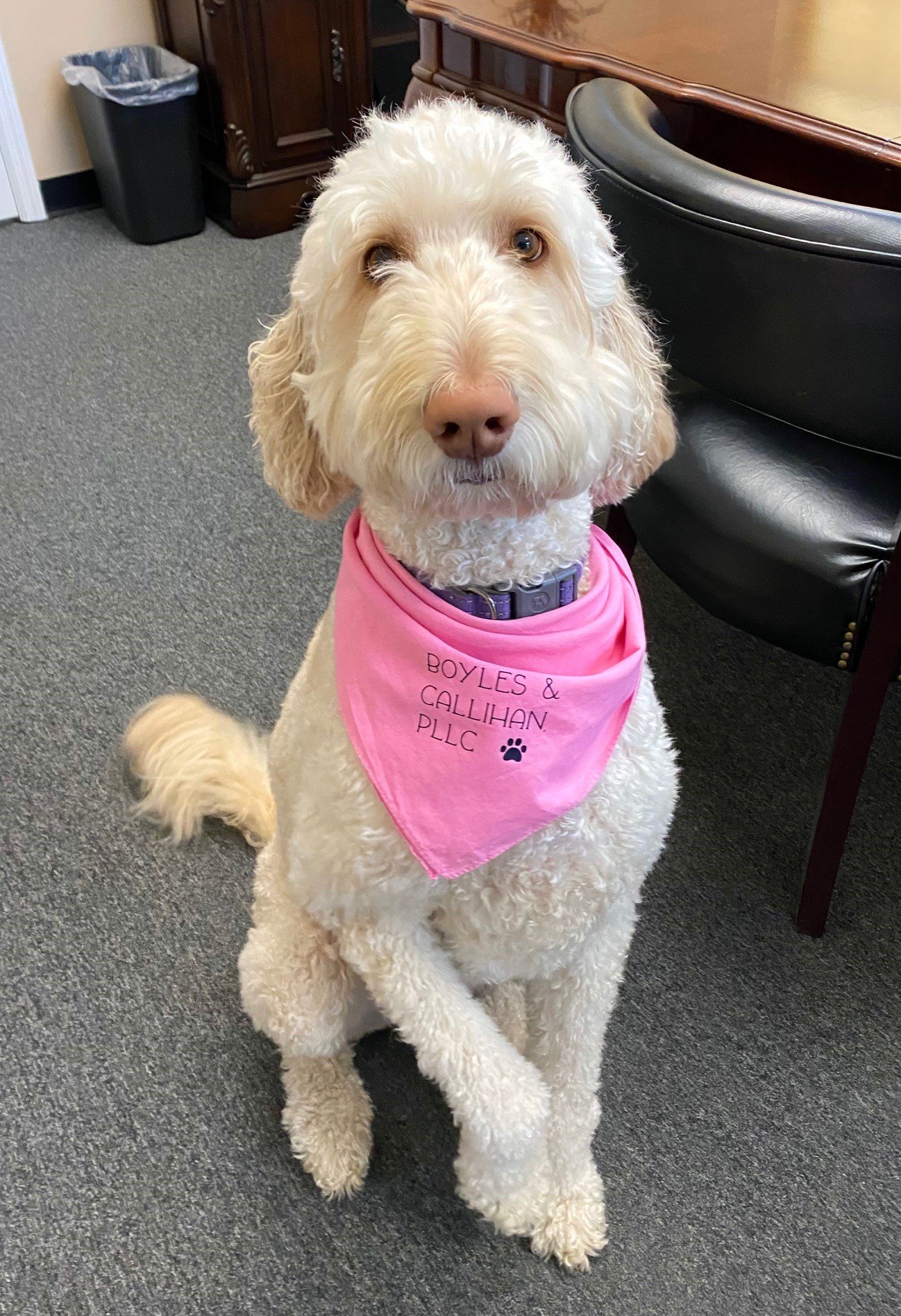 Boyles & Callihan, PLLC Wilmington,  Office